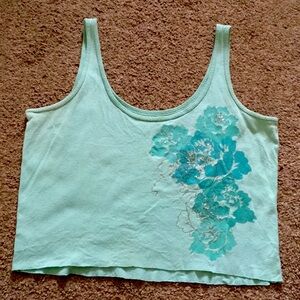 A Y2K crop tang, (kind of badly cropped)